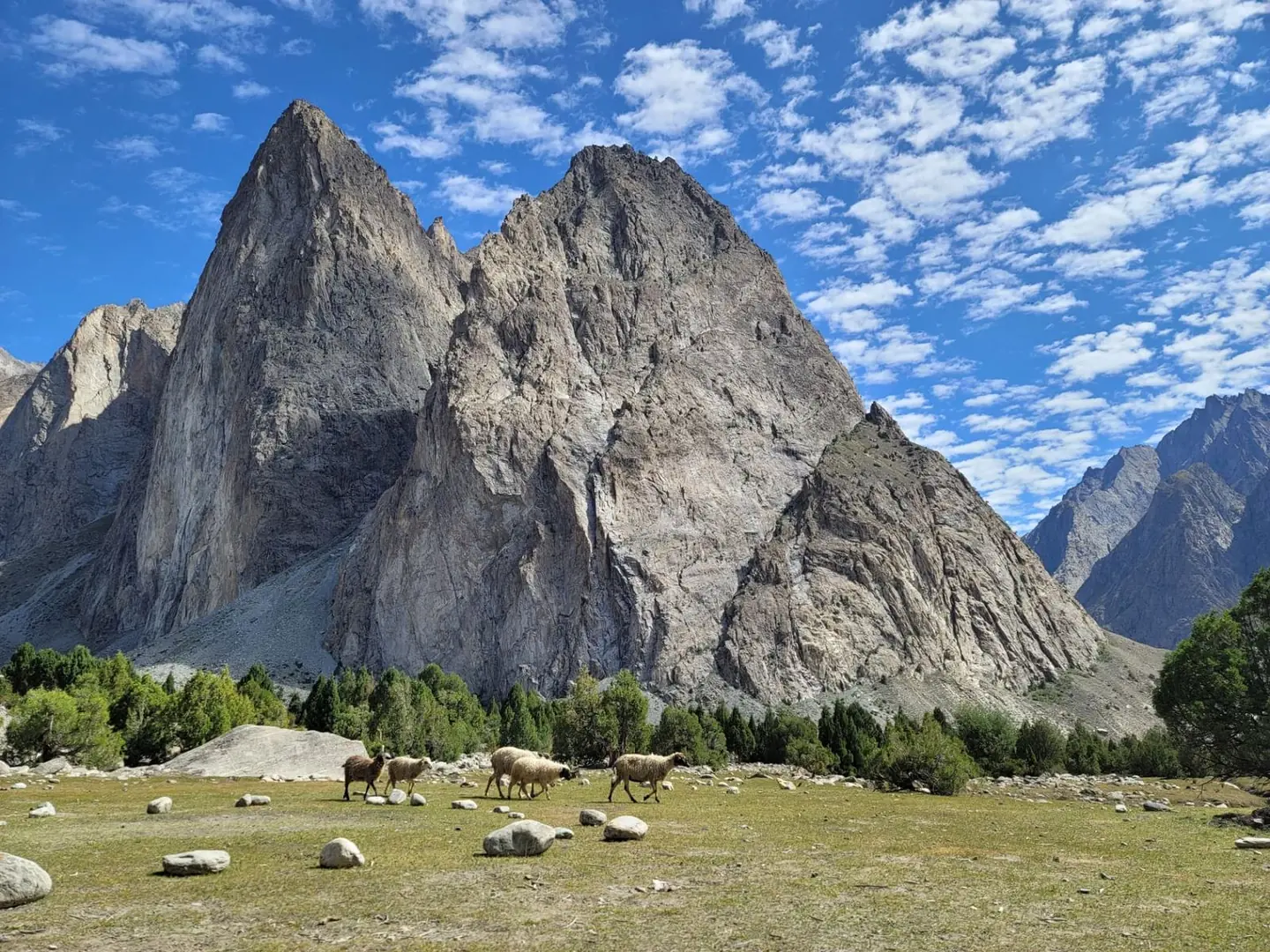 Grazing flocks below the granite of K1