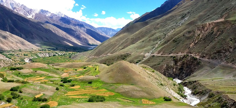 The Karakoram Anomaly in Gilgit-Baltistan